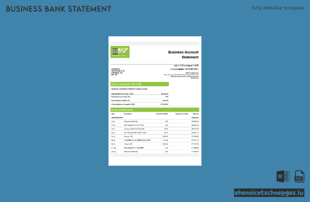 Salomonen BSP Firmenkontoauszug Word- und PDF-Beispielvorschau